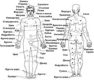Мармы и их местонахождение